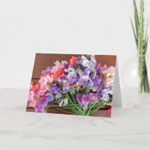 Blanco briefkaart - Sweet Peas