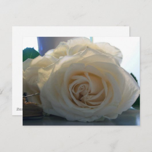 Blanco Briefkaart uit de "Classic White"-reeks (Voorkant / Achterkant)