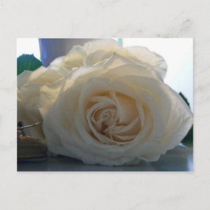 Blanco Briefkaart uit de "Classic White"-reeks
