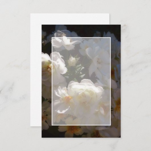 Blanco budget Witrozen bruiloft Kaart (Voorkant / Achterkant)