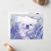 Blanco correspondentiekaarten met "Peter Rottvoord Notitiekaartje (Voorkant / Achterkant in situ)