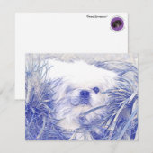 Blanco correspondentiekaarten met "Peter Rottvoord Notitiekaartje (Voorkant / Achterkant)