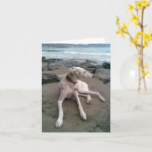 Blanco doekje voor honden kaart (Gele Bloem)