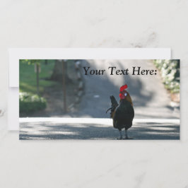 Blanco fotokaart, rooster