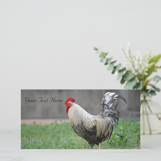 Blanco fotokaart, rooster (Staand voorkant)