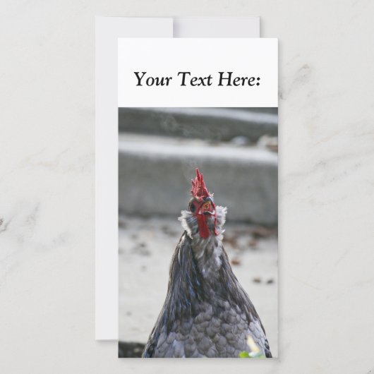 Blanco fotokaart, rooster (Voorkant)
