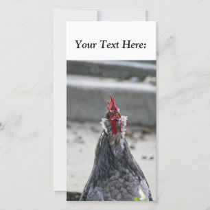 Blanco fotokaart, rooster