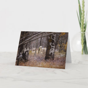 Blanco Golden Retriever-fotokaart Kaart