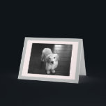 Blanco Golden Retriever Puppy Wenskaart Feestdagen Kaart<br><div class="desc">Arnie als een puppy die zich voor de camera inzet.  Ik hoop dat hij je dag kan ophelderen.</div>