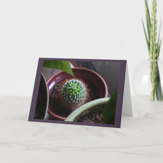 Blanco kaart (Voorkant)