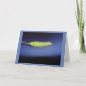 blanco kaart (Voorkant)