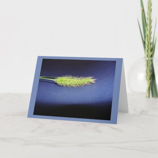 blanco kaart (Voorkant)