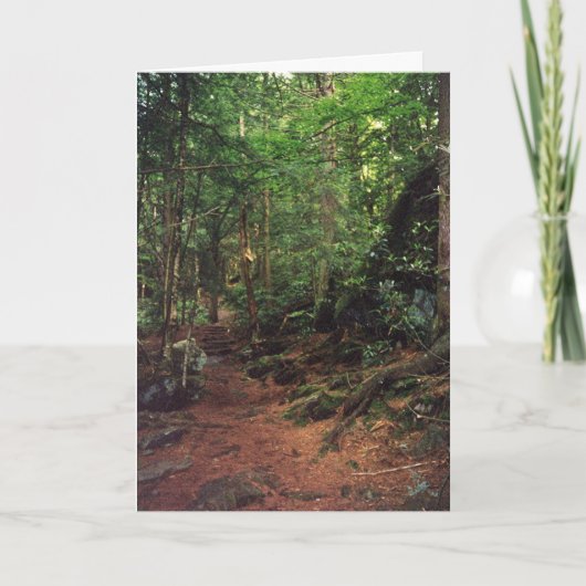 blanco kaart (Voorkant)