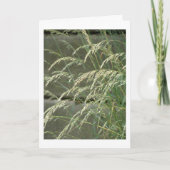 Blanco kaart (Voorkant)