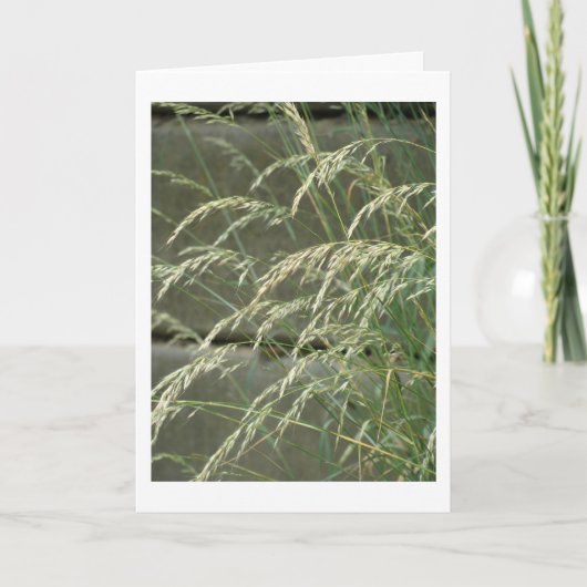 Blanco kaart (Voorkant)