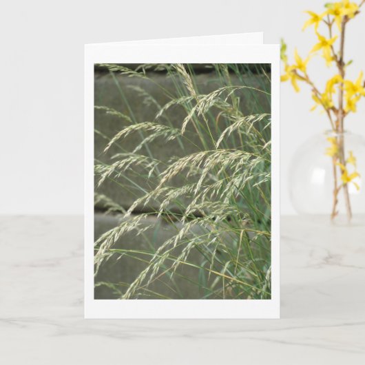 Blanco kaart (Gele Bloem)