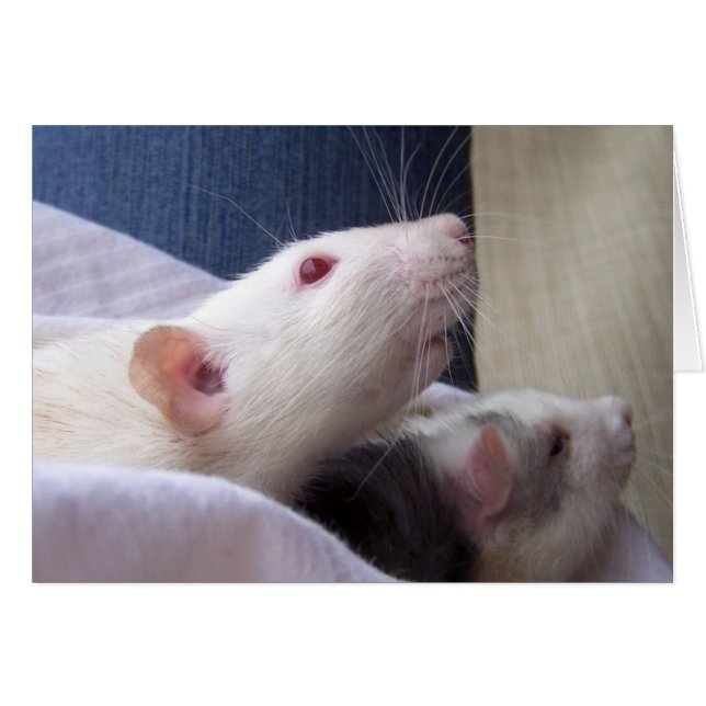 Blanco kaart (Voorkant Horizontaal)