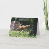 Blanco Kaart, Baby Deer Kaart (Achterkant)