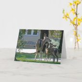 Blanco Kaart, Baby Deer Kaart (Gele Bloem)