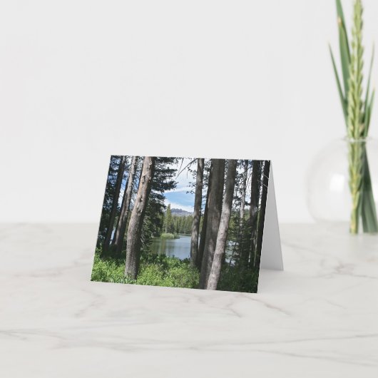 Blanco Kaart, bergmeer, bos Bedankkaart (Voorkant)