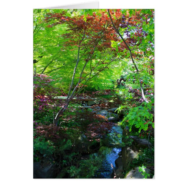 Blanco kaart, botanische tuin (Voorkant)