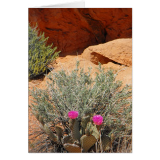 Blanco kaart, DSCF0348,~in uw woorden~