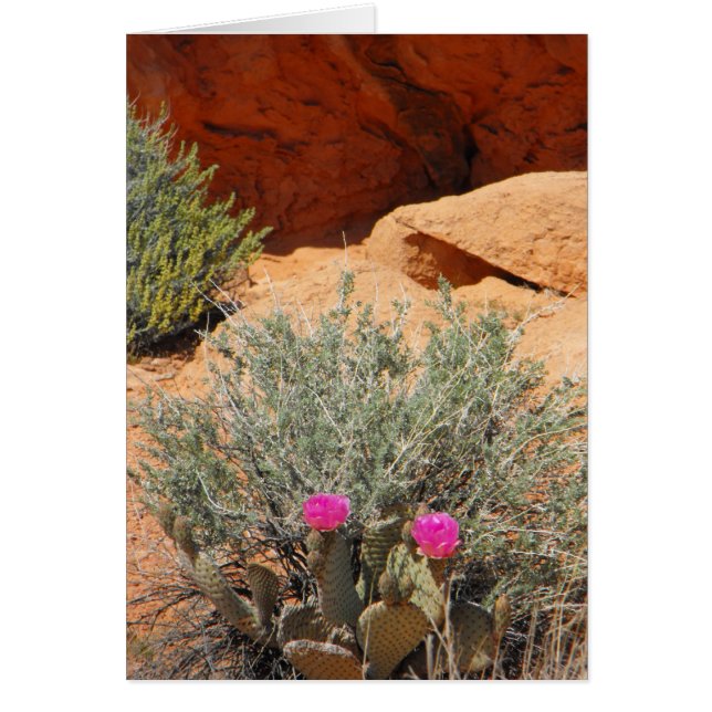 Blanco kaart, DSCF0348,~in uw woorden~ (Voorkant)