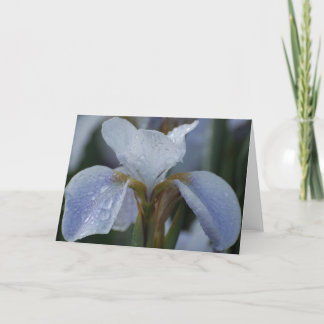 Blanco Kaart - Lily