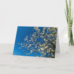 Blanco kaart met bloesem afbeelding