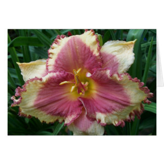 Blanco kaart met roze, daglicht