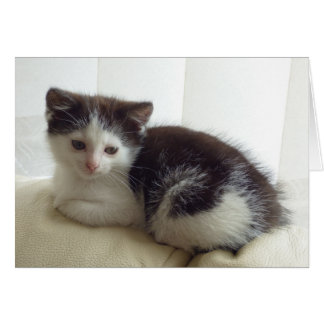 Blanco kaart met schattig pootje