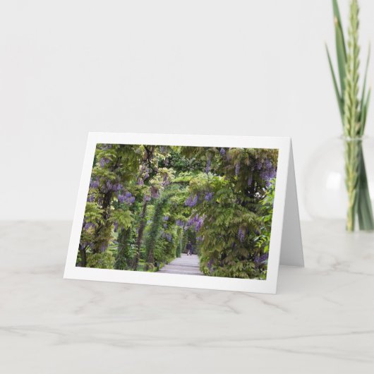 Blanco kaart met Wisteria-vouwen (Voorkant)