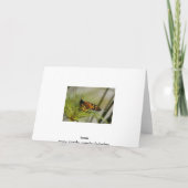Blanco Kaart met zwarte vlinder (Achterkant)