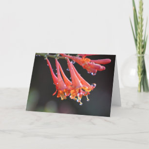 Blanco kaart - Morning Dew