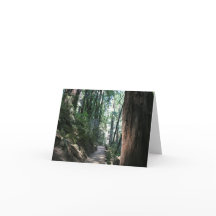 Blanco Kaart, Muir Bossen