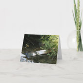 Blanco Kaart, Muir Bossen Bedankkaart (Voorkant)