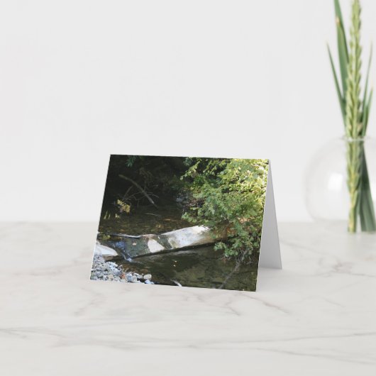 Blanco Kaart, Muir Bossen Bedankkaart (Voorkant)