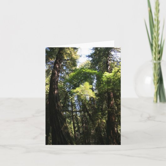 Blanco Kaart, Muir Bossen Bedankkaart (Voorkant)