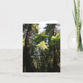 Blanco Kaart, Muir Bossen Bedankkaart