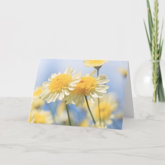 Blanco Kaart noot - Sunlit Yellow Marguerite Daisy (Voorkant)