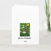 Blanco Kaart noot: Veerbloemen (Achterkant)