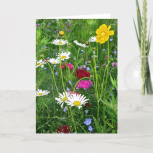 Blanco Kaart noot: Veerbloemen