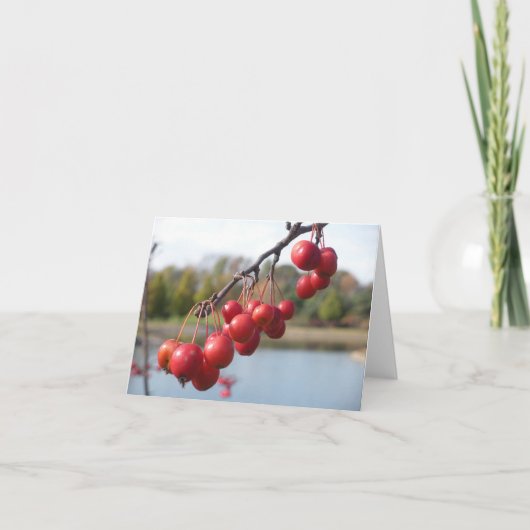 Blanco Kaart - Rode bessen (Voorkant)