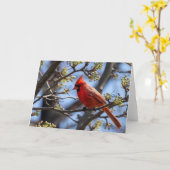 Blanco kaart voor kardinaal (Gele Bloem)