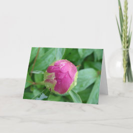 Blanco kaart voor ontvangst in het voorjaar