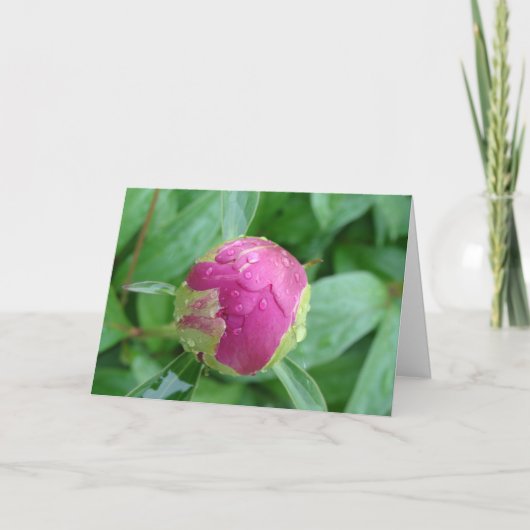 Blanco kaart voor ontvangst in het voorjaar (Voorkant)