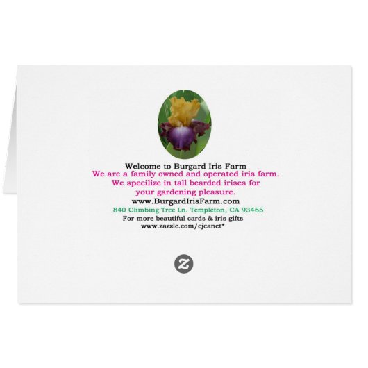 blanco kaart "ZEE TURTLS" (Achterkant Horizontaal)