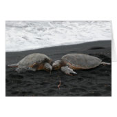 blanco kaart "ZEE TURTLS" (Voorkant Horizontaal)