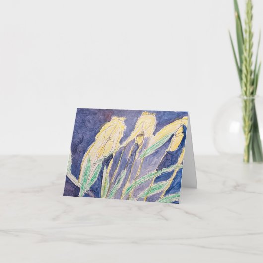 Blanco kaarten (Voorkant)