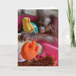 Blanco kaarten voor wilde dieren:Baby Orangutan gr